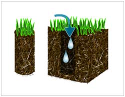 Core Aeration Illustration