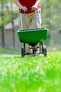 Lawn Fertilization