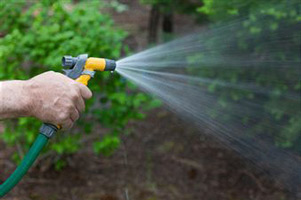 Watering Hose